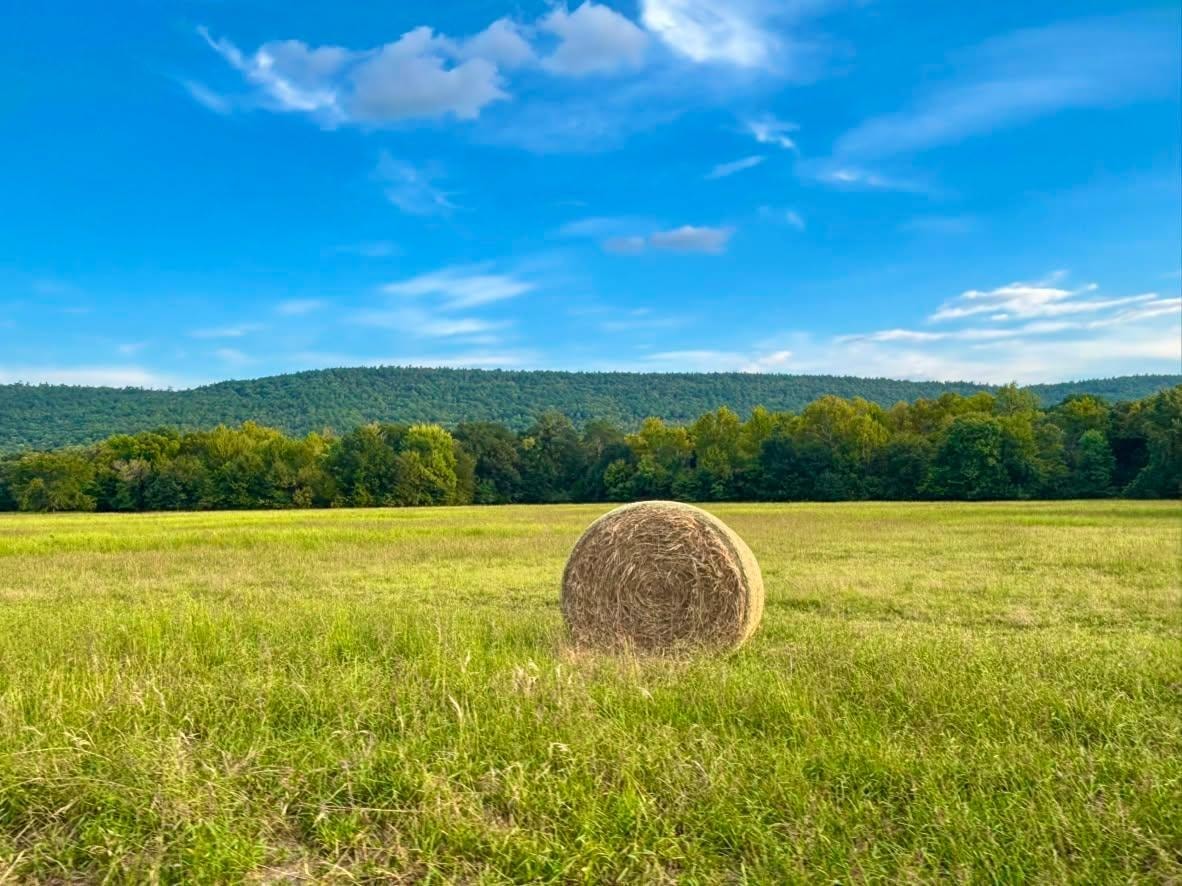 Explore the Ranch